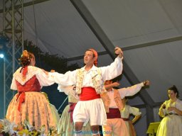 Festival de Folkore en Mula